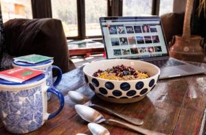 Wolf Totem Steam Punk Guesthouse