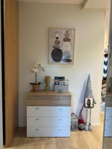 Elegant apartment with Sauna in the center