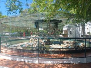 Pedras D` EL Rei Village 110