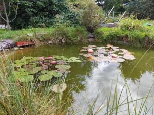 Апартаменти "У Кузьмича" 2