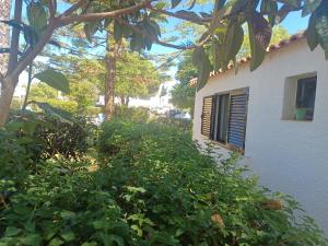 Pedras D` EL Rei Village 110