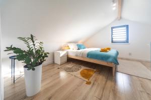 Marine house-Nowoczesna stodoła nad morzem,duży ogród,prywatny hot tub