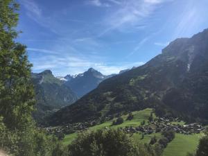 Chalets Chalet*** au pied d'une prairie face a la montagne : photos des chambres