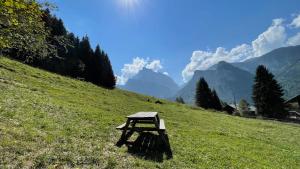 Chalets Chalet*** au pied d'une prairie face a la montagne : photos des chambres