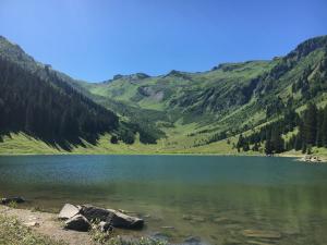 Chalets Chalet*** au pied d'une prairie face a la montagne : photos des chambres