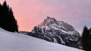 Chalets Chalet*** au pied d'une prairie face a la montagne : photos des chambres