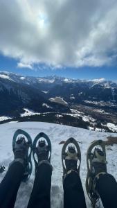 Chalets Chalet*** au pied d'une prairie face a la montagne : photos des chambres