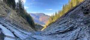 Chalets Chalet*** au pied d'une prairie face a la montagne : photos des chambres