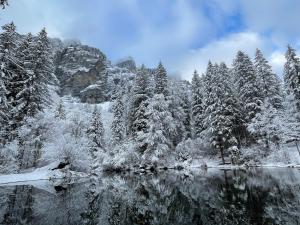 Chalets Chalet*** au pied d'une prairie face a la montagne : photos des chambres