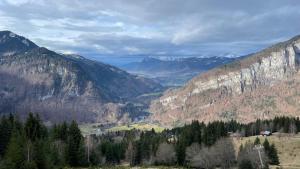 Chalets Chalet*** au pied d'une prairie face a la montagne : photos des chambres