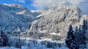 Chalets Chalet*** au pied d'une prairie face a la montagne : photos des chambres