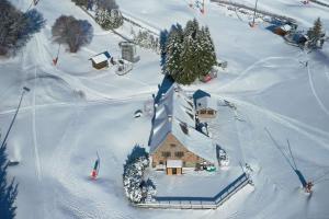 Chalets La fleche 1 de Super Besse - Chalet Prive de Standing avec Jaccuzzi : photos des chambres