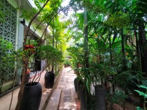 Green Stay Village - 4hvězdičkové hotely ve městě Siem Reap