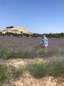 Sejours chez l'habitant chambre d'hotes chaleureuse en Drome Provencale : photos des chambres