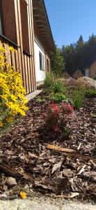 Nový apartmán v klidu Jizerek