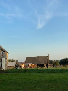 Maisons de vacances Entire Farm House stay, La Gerouardiere : photos des chambres