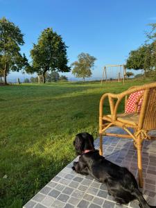 Maisons de vacances Entire Farm House stay, La Gerouardiere : Maison 4 Chambres