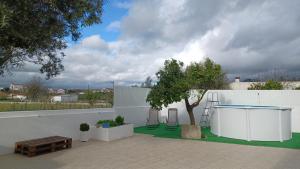 Monte do TiMota