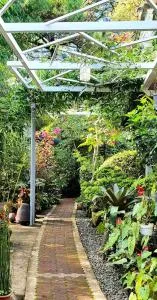 JCGA Apartments (Angelo's Burnham) - Baguio