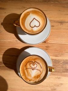 Makowy Apartament Konin