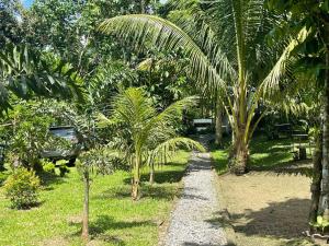 The Twin Studio Cottages
