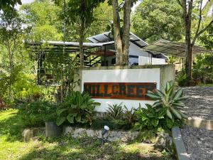 The Twin Studio Cottages