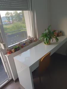 Apartma Dobrodošli pri Renati v Celju