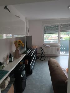 Apartma Dobrodošli pri Renati v Celju