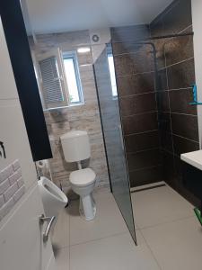 Apartma Dobrodošli pri Renati v Celju