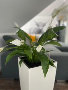 Ferienwohnung Moments