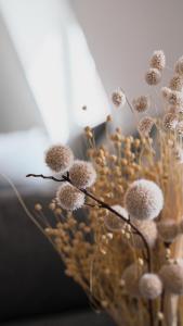 B&B Ferienwohnung mit bester AussichtLage