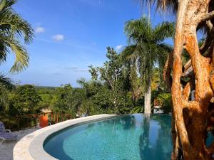 Casa bambu - charming villa in the heart of nature