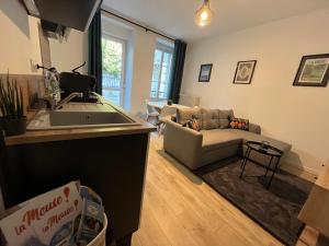 La Cour du Prince - F2 Centre-ville avec cour