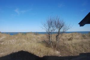 Beach Lovers Delight cottage