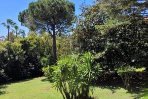 Cannes centre beau 2 pièces 50 M2 plus terrasse à 12 min plages et Palais au calme