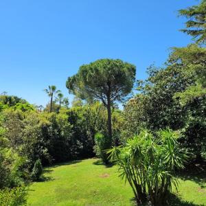 Cannes centre beau 2 pièces 50 M2 plus terrasse à 12 min plages et Palais au calme
