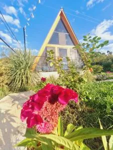 Paradise cottage - 提斯基斯迪里