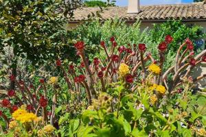 Maison Les Marres St-Tropez Ramatuelle