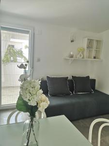 Apartman Legac 1 Nin