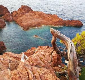 Maisons de vacances Maison avec jardin a 6 minutes de la plage : photos des chambres