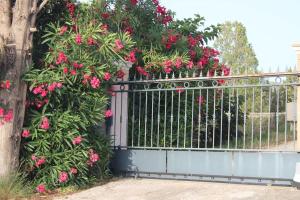 Maisons de vacances Maison avec jardin a 6 minutes de la plage : photos des chambres