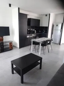 appartement 2 T2 neuf et élégant proche zénith - 奥比埃