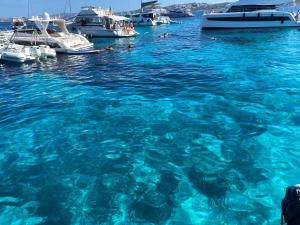 La Casa azzurra img39