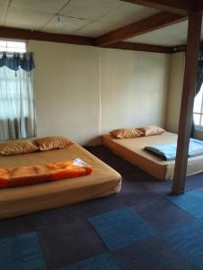 Homestay HUMAIRA DIENG villa full house 3 kamar,6 bed,dapur,ruang tamu,balkon,parkir,wifi