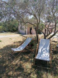 Maisons de vacances Maison au calme entre vignes et Luberon : photos des chambres