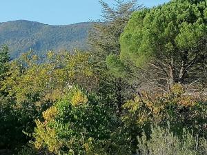 Maisons de vacances Maison au calme entre vignes et Luberon : photos des chambres