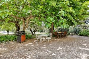 B&B / Chambres d'hotes MAS de la Souvine : photos des chambres