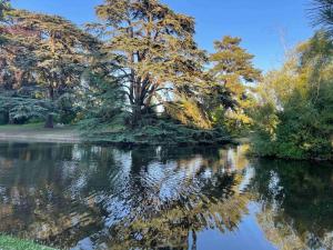 Appartements Paris / Versailles, 4/6 pers, proche gare et parc : photos des chambres