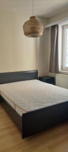 Le Zandkreek Plage & Centre - 2 Ch