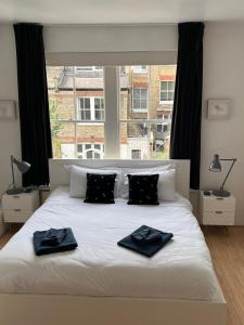 Luxury Apartment in Belsize Park